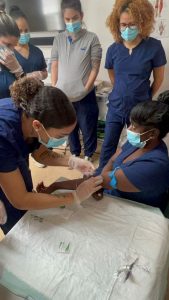 4913868162504699360_121