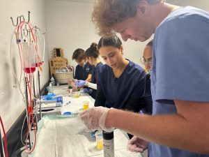 5012562903198010232_121